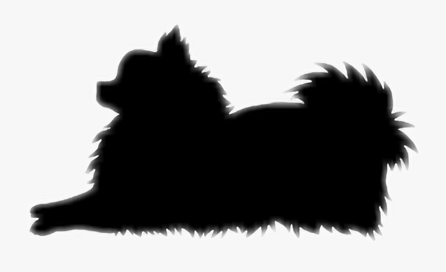 Affenpinscher Pomeranian Dog Breed Snout Silhouette - Pomeranian Clipart Black And White, Transparent Clipart