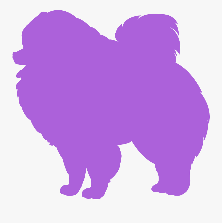 Lulu Da Pomerania Desenho Png, Transparent Clipart