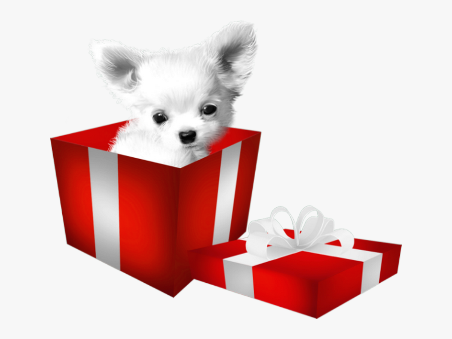 Pomeranian Puppy Dog Breed Clip Art - Puppy, Transparent Clipart