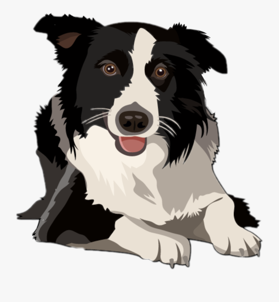 Transparent Border Collie Png - Border Collie Clipart Free, Transparent Clipart