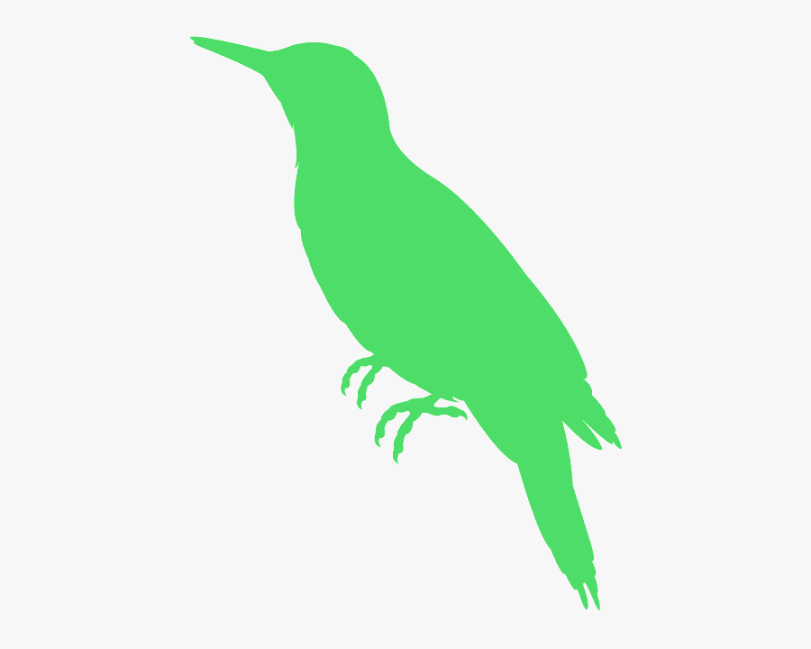Hummingbird, Transparent Clipart