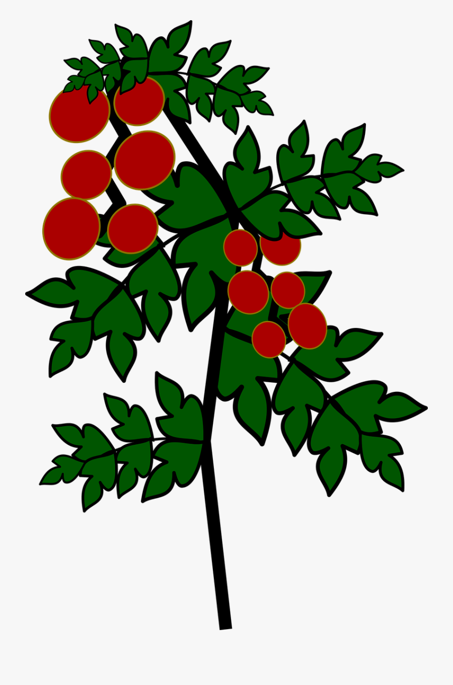 Transparent Tomato Plant Png - Gambar Kartun Pohon Tomat, Transparent Clipart