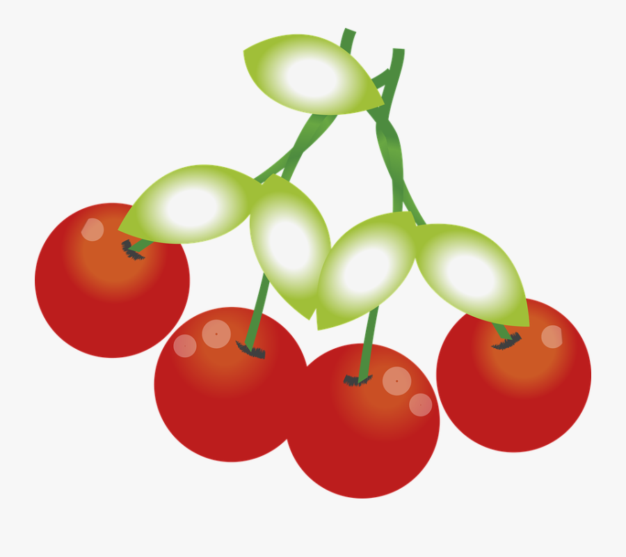 Cherries Fruit Plant Red Red Fruit Power Food - Cherry, Transparent Clipart