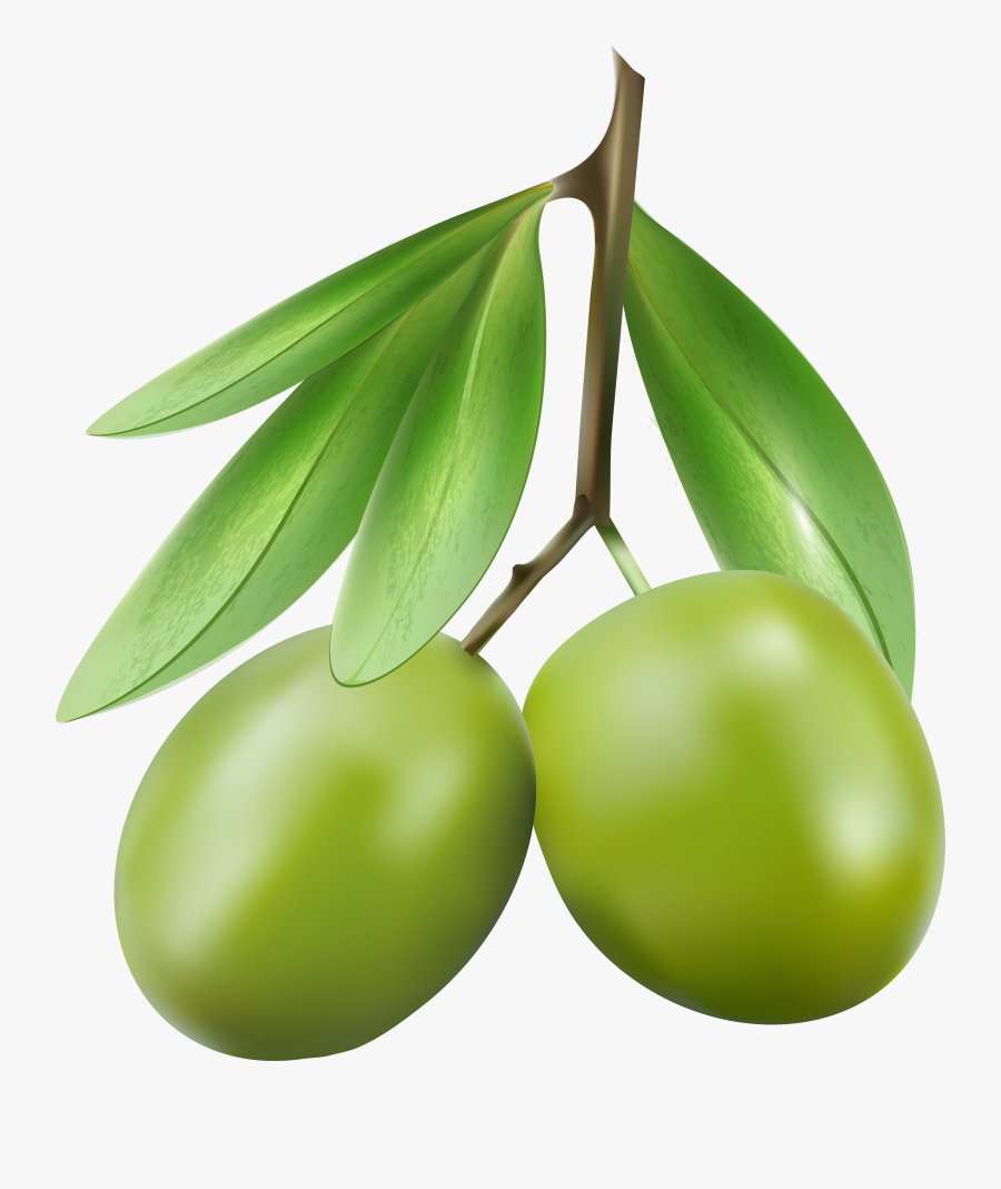 Olive Clipart - Green Olive Clipart Png, Transparent Clipart