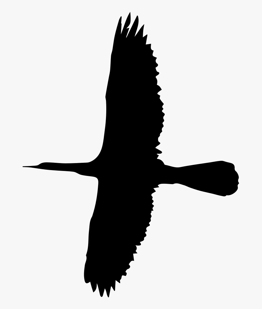 Transparent Flying Bird Clipart Black And White - Bird In Fly Shape, Transparent Clipart