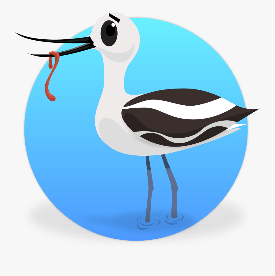 I"m Avery The Avocet - Water Bird, Transparent Clipart