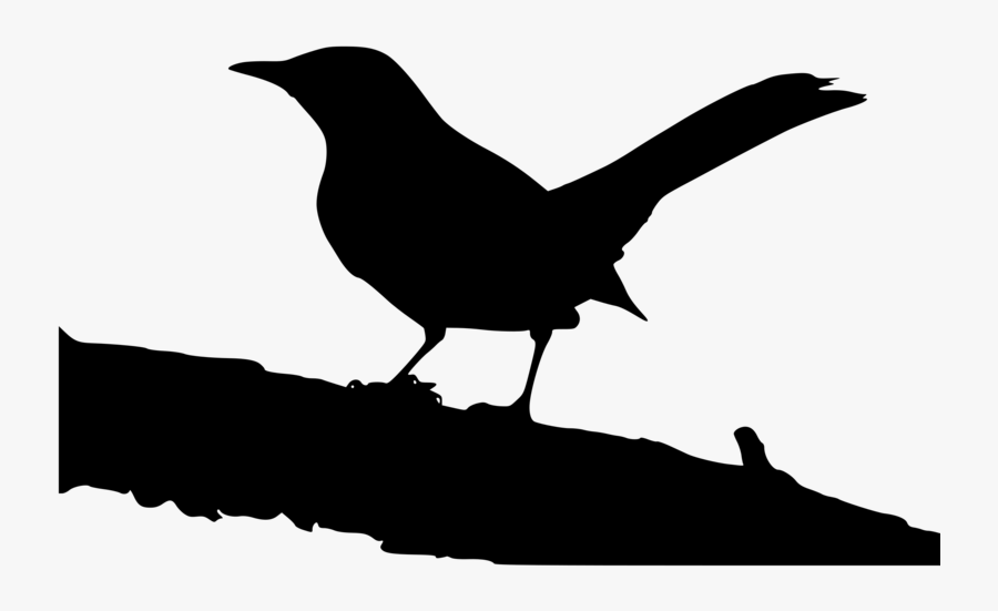 Pin Mockingbird Clipart Big B - Mockingbird On A Tree, Transparent Clipart