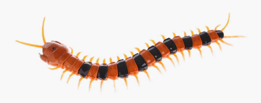 Plastic Centipede - Centipede Png, Transparent Clipart
