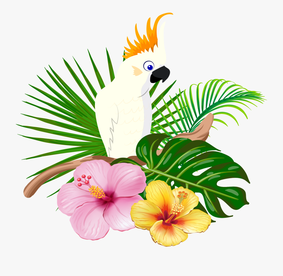 Bird Floral Design White Transprent Png Free - Hawaiian Birds Png, Transparent Clipart