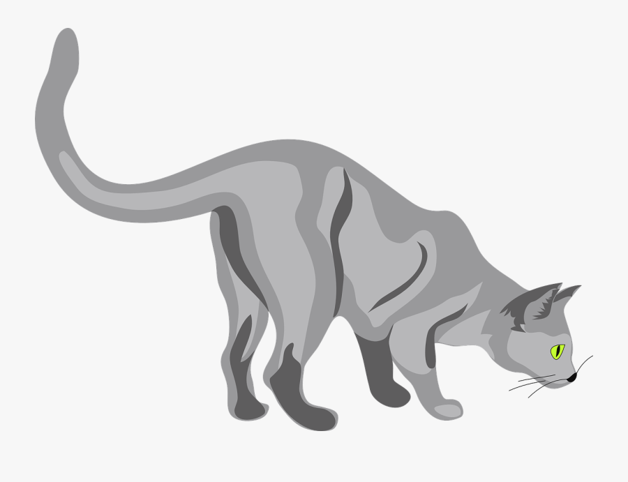 Cat Sniffing The Ground, Transparent Clipart