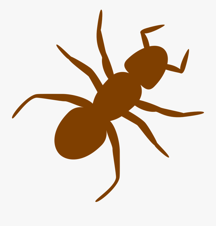 Transparent Centipede Clipart - Ant Clip Art, Transparent Clipart