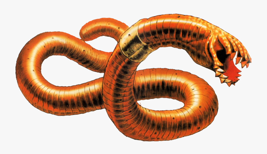 Transparent Worm Clipart - Parasite Worm Png, Transparent Clipart