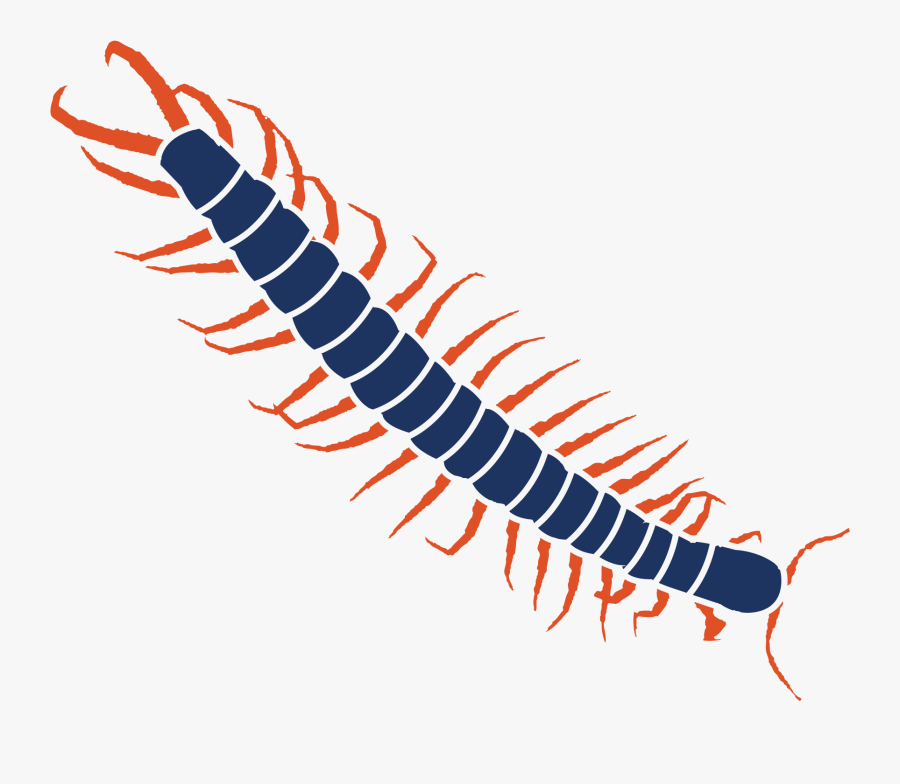 Millipedes , Free Transparent Clipart - ClipartKey