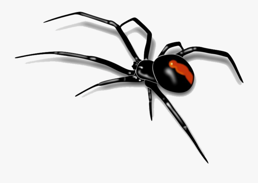 #bugs #bug #insect #cute #creepy #gross #gothic #horror - Black Widow Spider Vector, Transparent Clipart