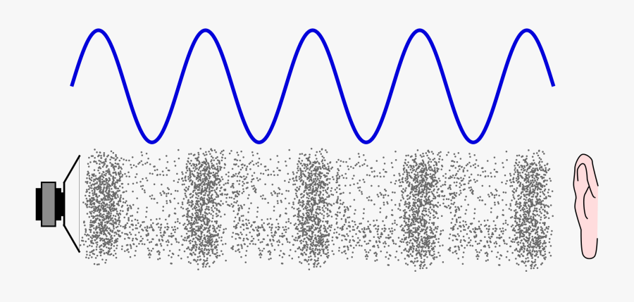 Transparent Sound Waves Png - Sound Waves We Can T Hear, Transparent Clipart