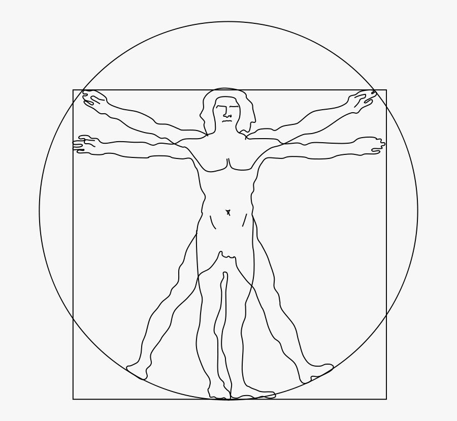 Vitruvian Man - Vitruvian Man Without Background, Transparent Clipart
