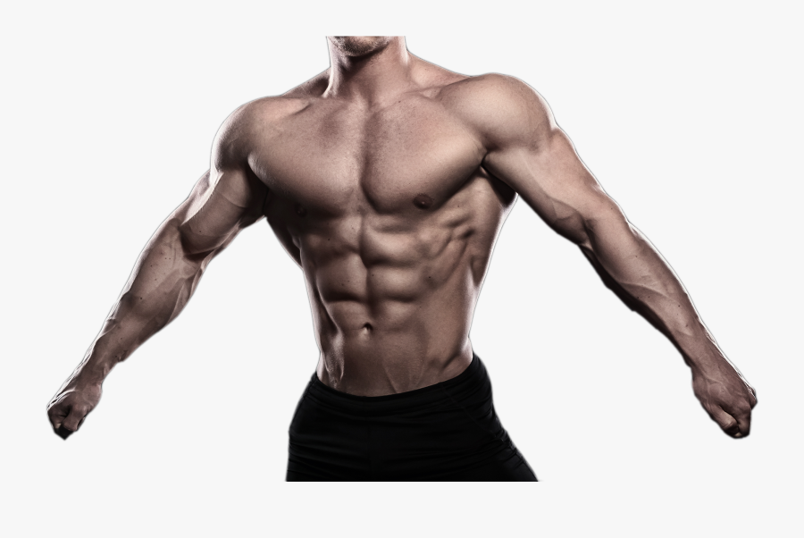 Muscle Bodybuilding Download - Muscle Man Png, Transparent Clipart