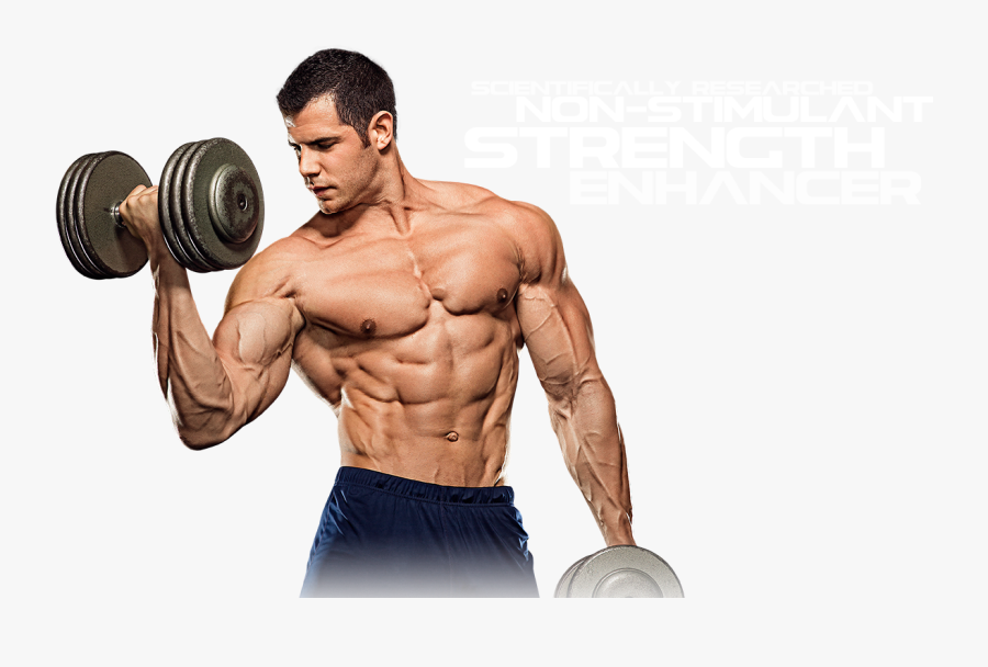 Muscle Png File Download Free - Muscle, Transparent Clipart