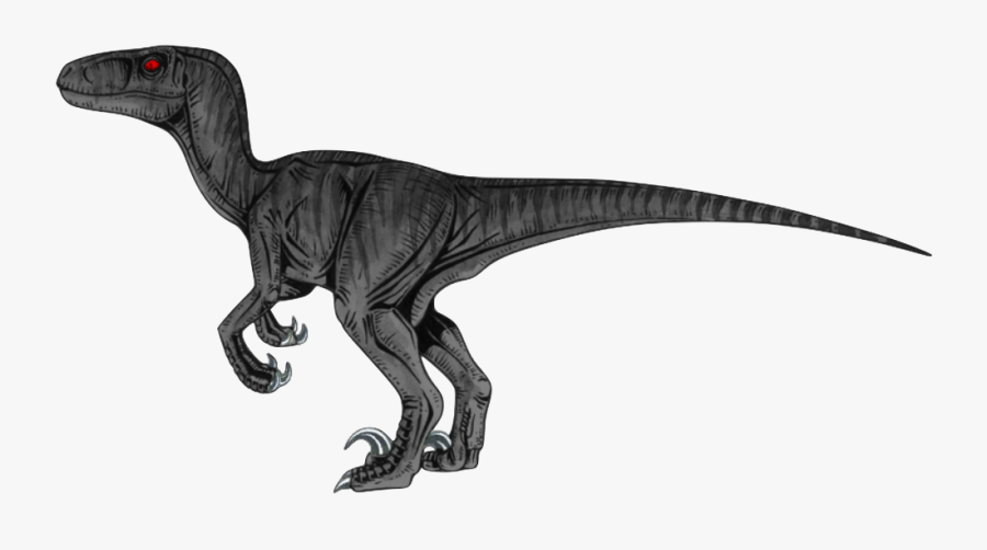 Velociraptor Png Transparent Hd Photo - Transparent Background Velociraptor Png, Transparent Clipart