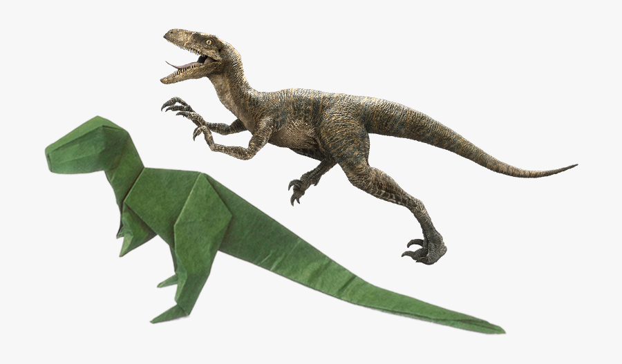 Velociraptor Tyrannosaurus Fauna Dinosaur Free Hq Image - Fazer Desenhos De Dinossauro, Transparent Clipart