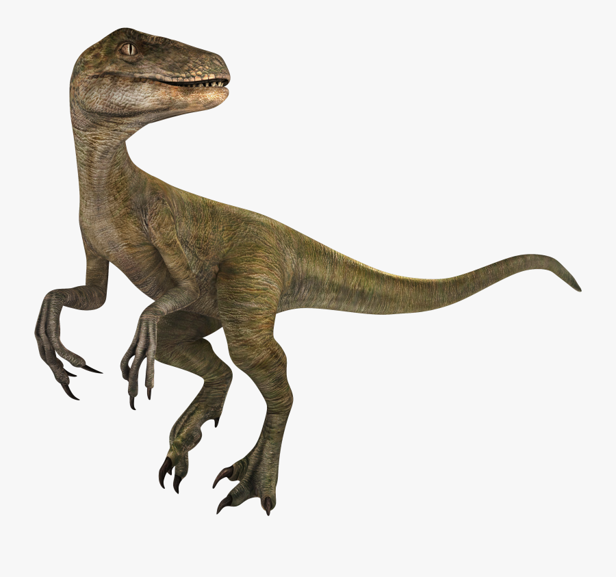 #velociraptor #jurassicworld #dinosaurs #freetoedit - Velociraptor, Transparent Clipart