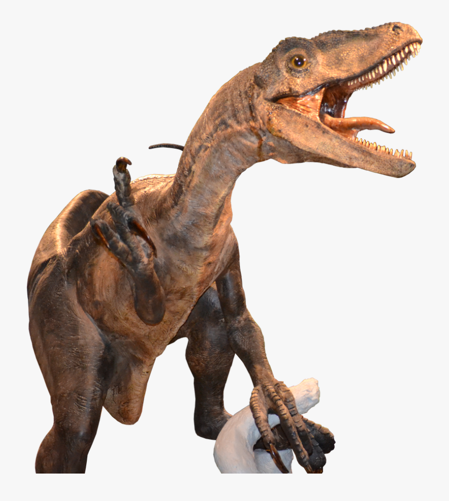 #dinosaur 
#raptor 
#velociraptor - Raptor Png, Transparent Clipart