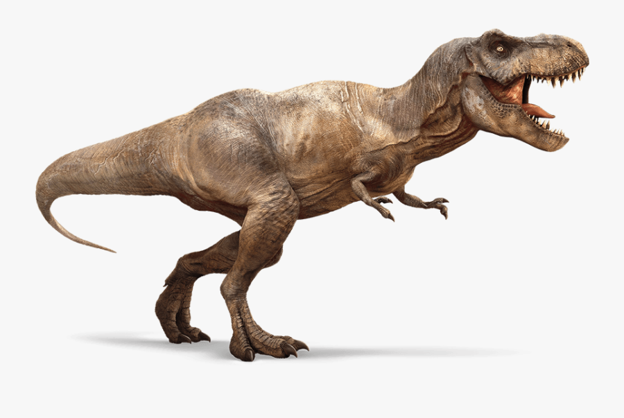 T Rex, Transparent Clipart