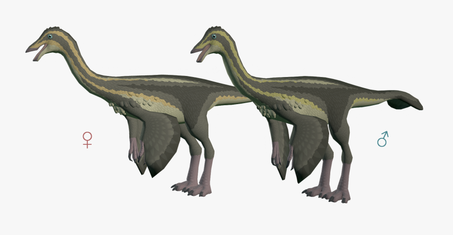 Duckling Gallimimus The Archotek Project - Gallimimus, Transparent Clipart