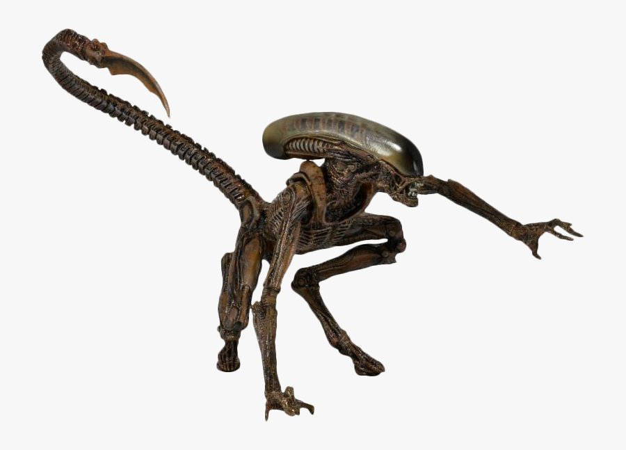 Neca Dog Alien, Transparent Clipart