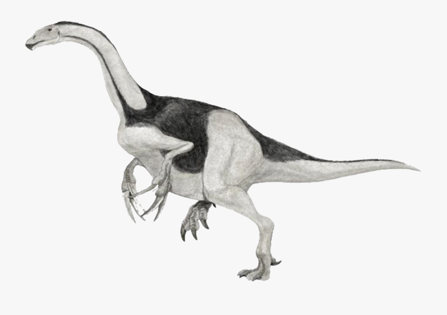 Velociraptor, Transparent Clipart