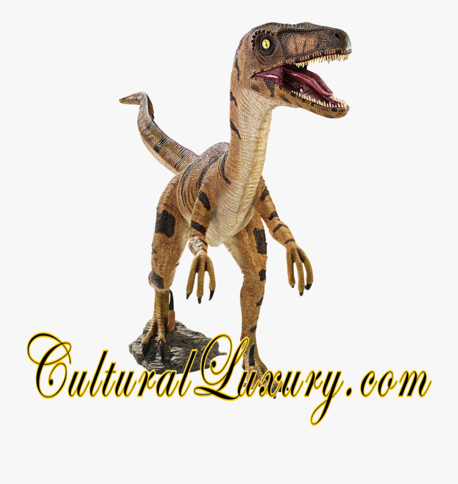 Transparent Velociraptor Png - Velociraptor Dinosaur, Transparent Clipart
