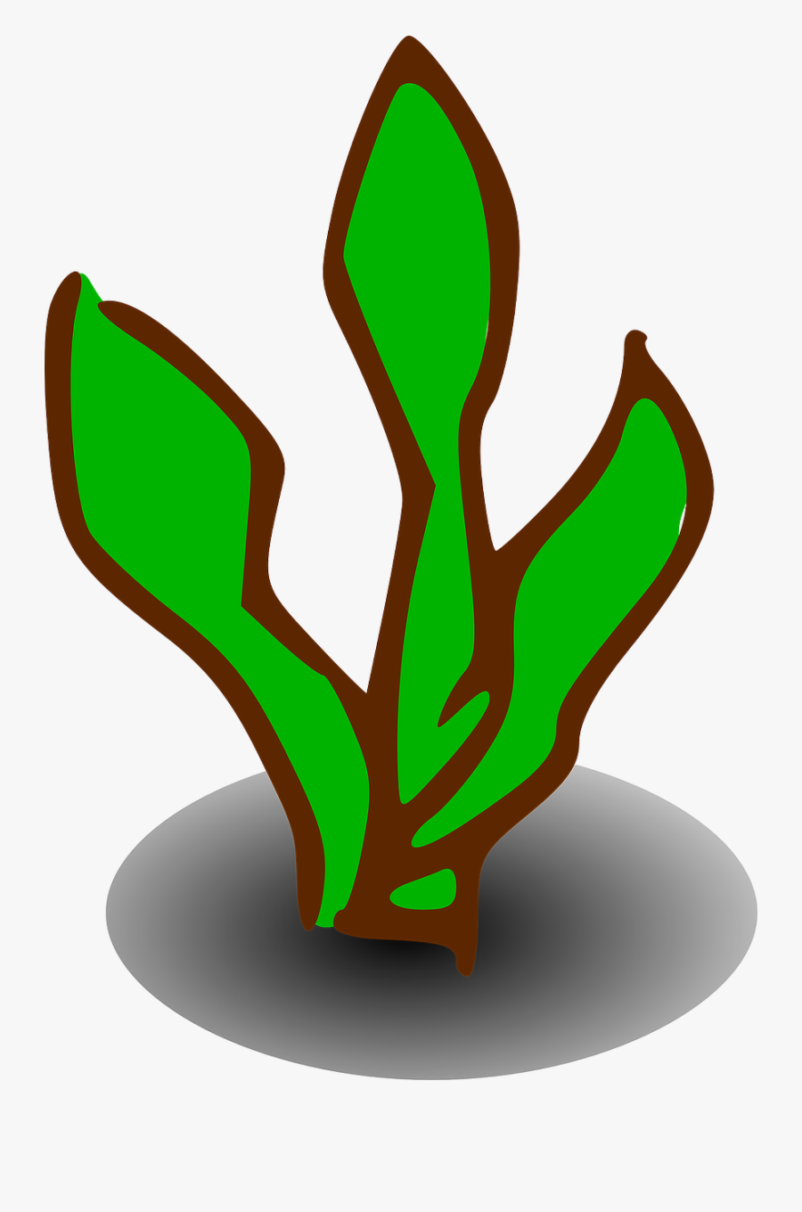 Transparent Bush Png - Algas Marinhas Em Png, Transparent Clipart