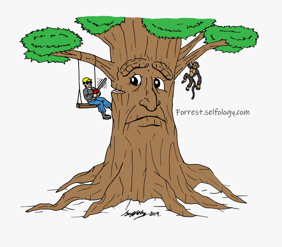 《 The Seaweed Journey 》- - Cartoon, Transparent Clipart