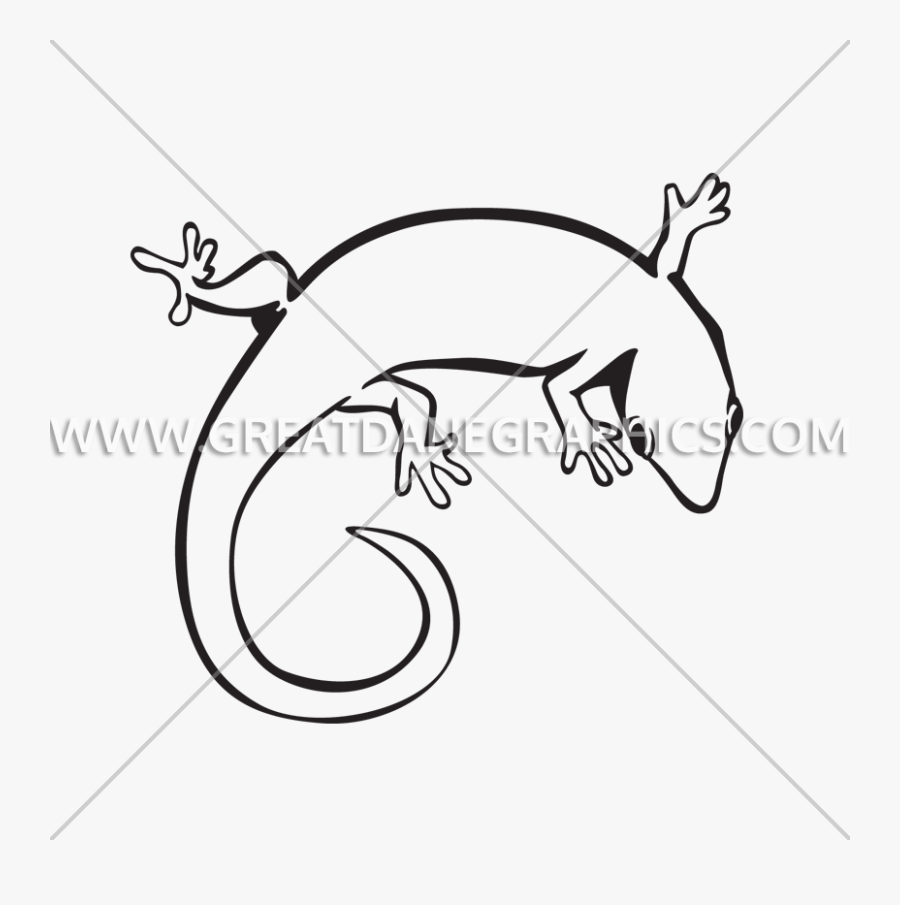 Curl Production Ready Artwork - Curled Lizard Drawing, Transparent Clipart