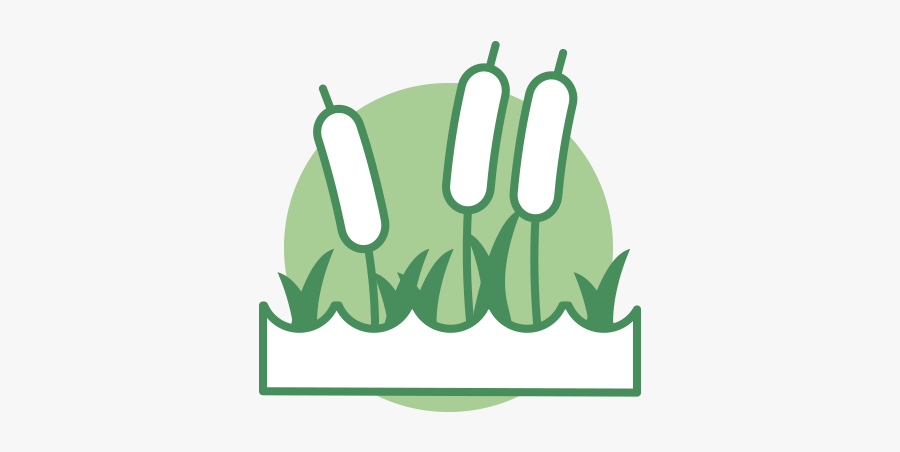 Wetlands Png, Transparent Clipart