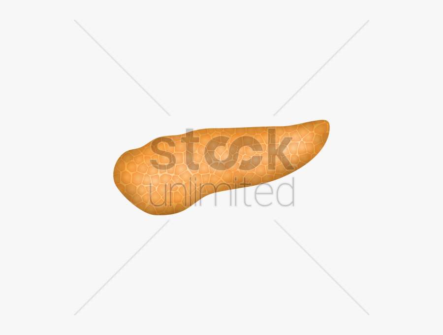Bologna Sausage Clipart Bologna Sausage Font - Baguette, Transparent Clipart