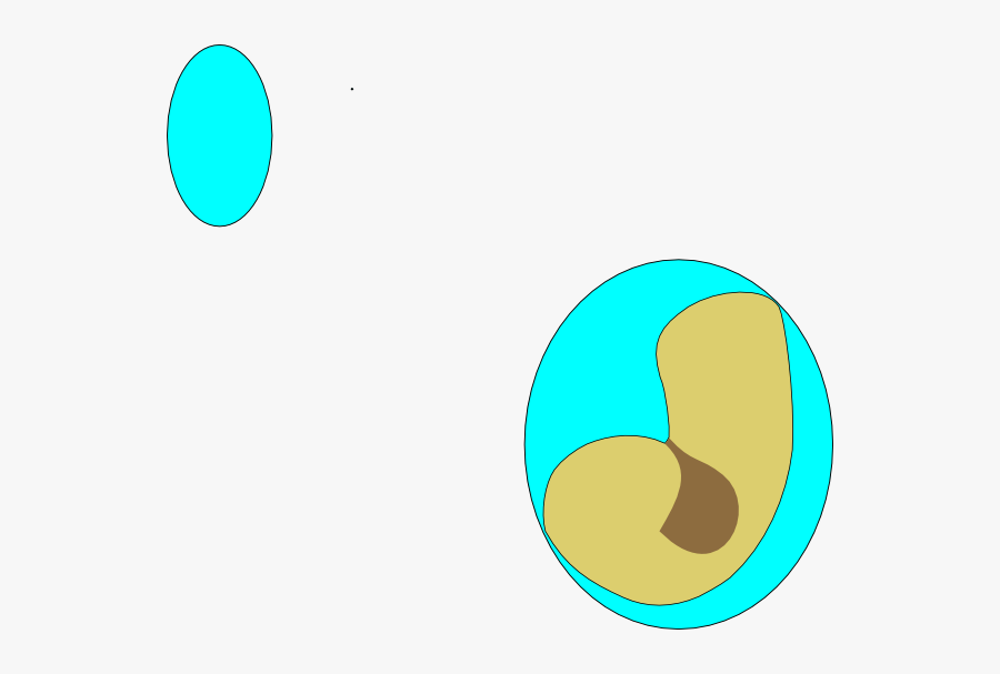 Circle, Transparent Clipart