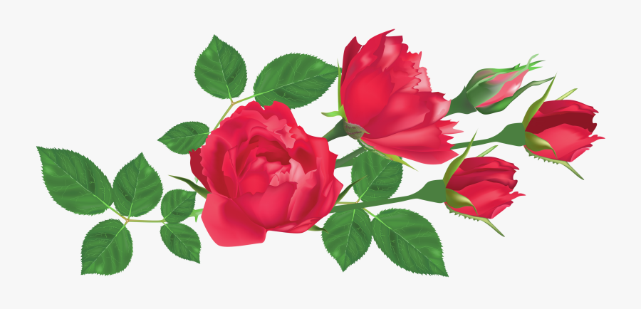Rose Leaves Png - Rose With Leaves Png, Transparent Clipart
