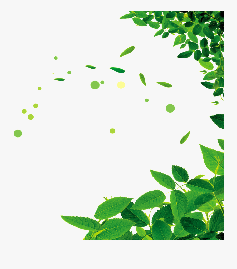 Beautiful Green Leaf Png - Leaves Border Clipart Png, Transparent Clipart