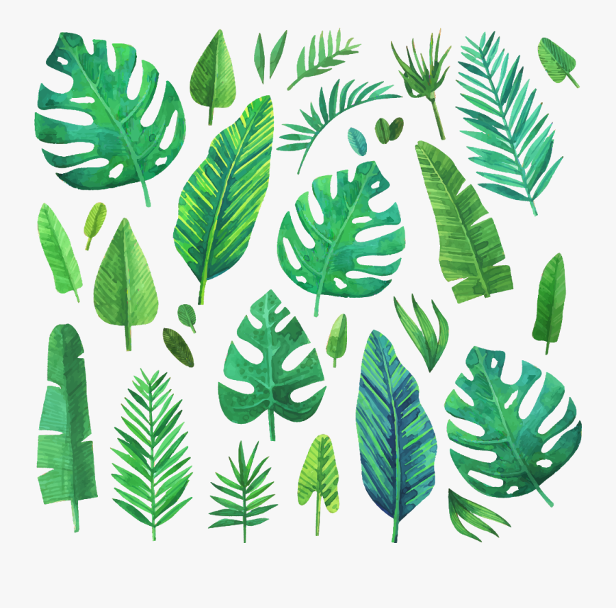 #jungle #jungleleaf #jungleleaves #leaf #leaves #green - Watercolor Jungle Leaves Free, Transparent Clipart