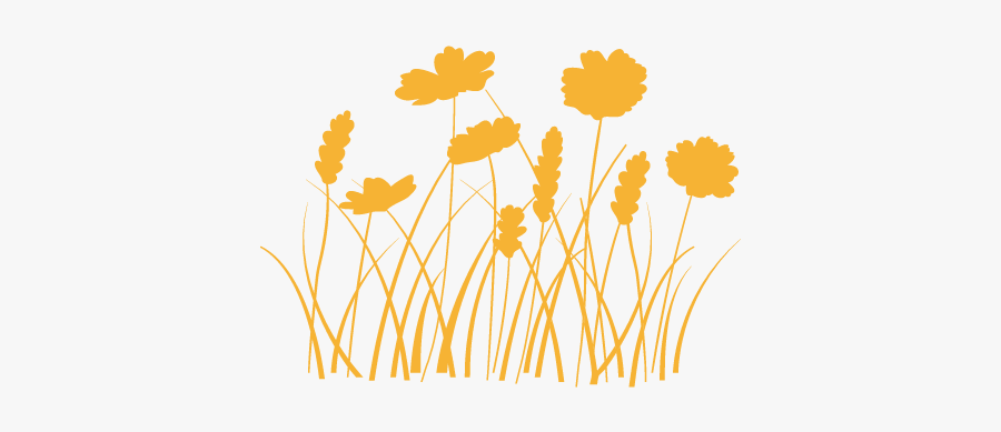 Buttercup, Transparent Clipart