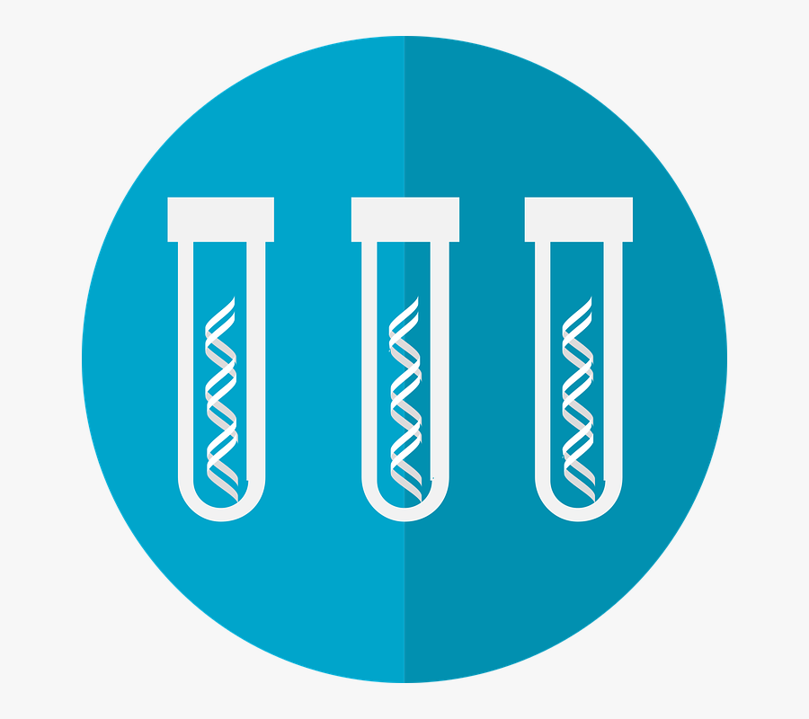 Genetic Testing, Gene Panel, - Laboratory Information System Icon, Transparent Clipart