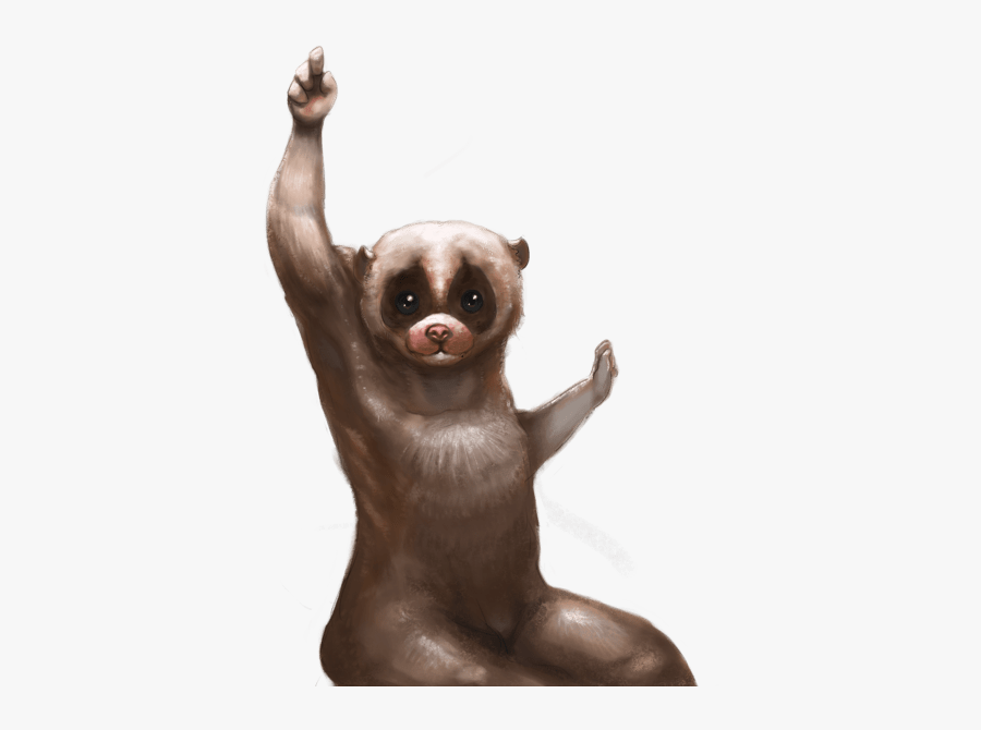 Slow Loris Meme Character - Slow Loris Transparents, Transparent Clipart