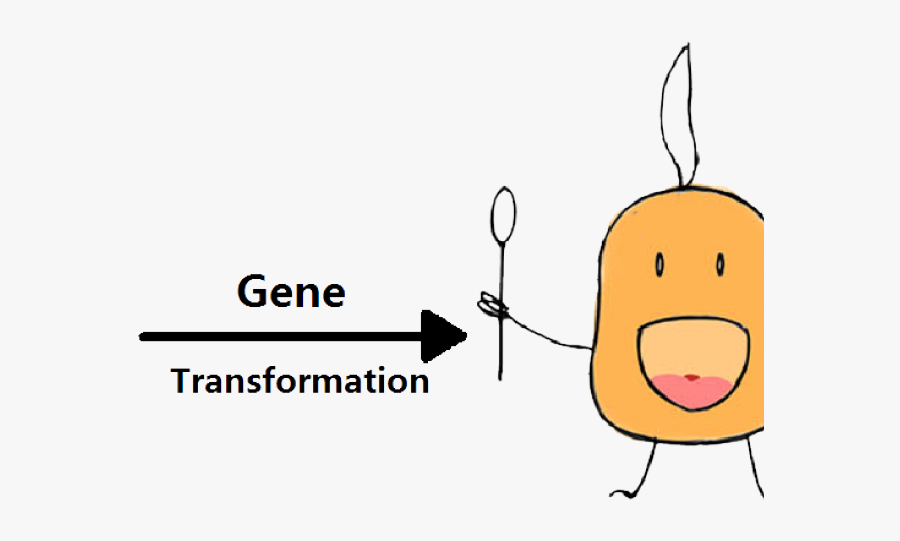 Escherichia Coli Clipart Transparent - Parking, Transparent Clipart