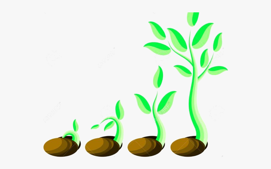 Soil Free Clipart Clip Art On Transparent Png - Little Green Shoot, Transparent Clipart