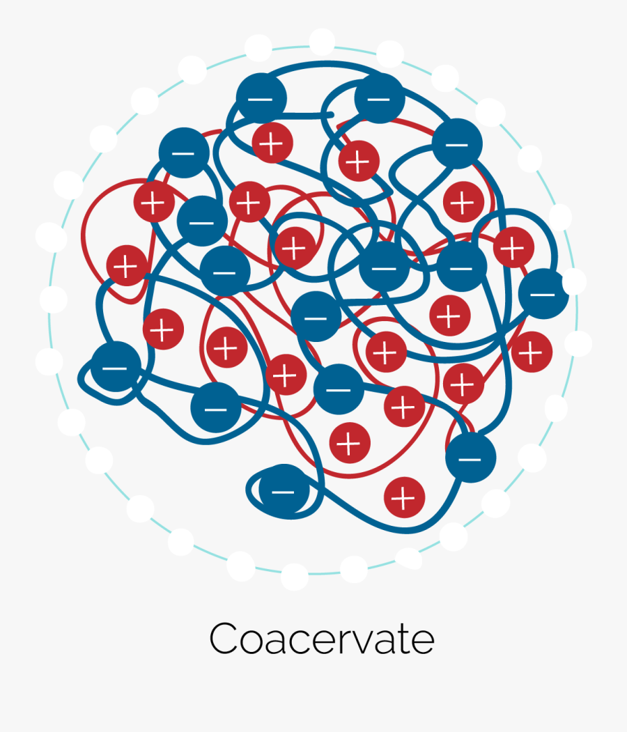 Cees Dekker - Circle, Transparent Clipart
