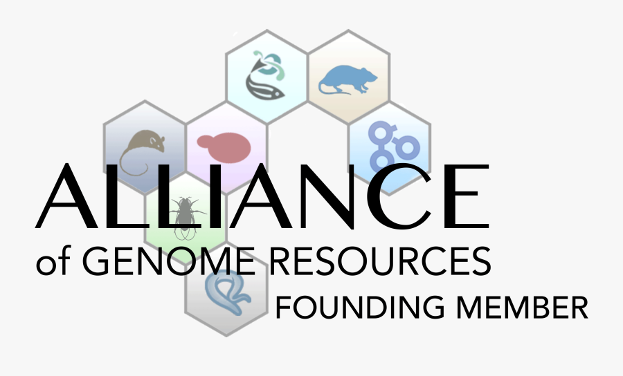 Zebrafish Information Network Genome Database , Free Transparent