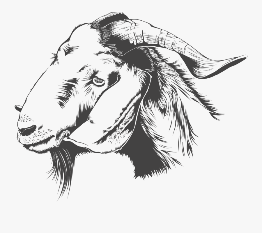 Download Goat Png Transparent Images Transparent Backgrounds - Qurbani Ki Dua Hindi Me, Transparent Clipart