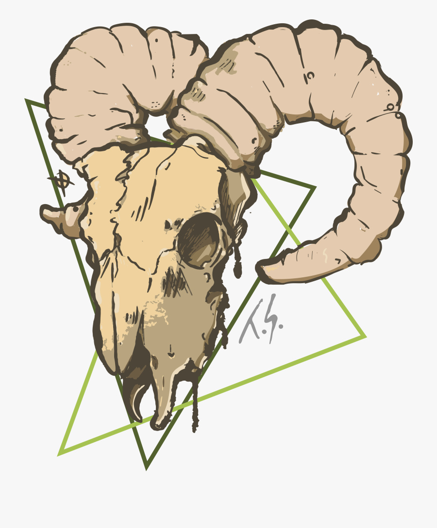 Transparent Goat Skull Clipart - Illustration, Transparent Clipart
