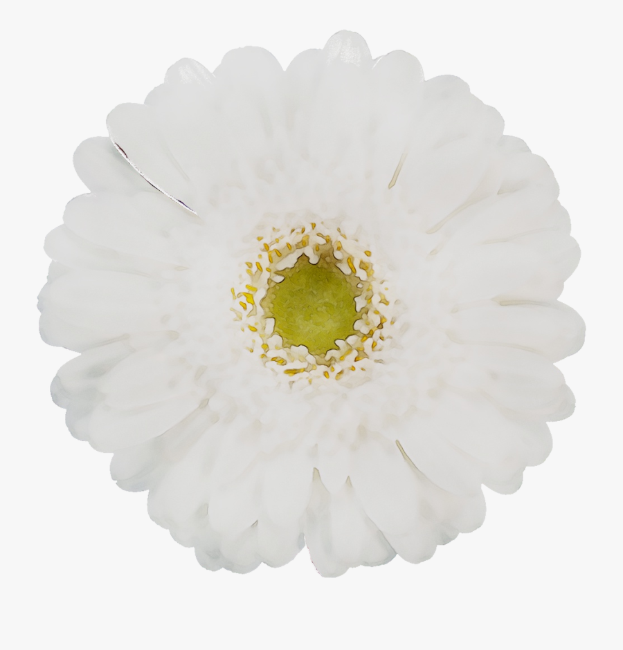 8741 - Cd, Transparent Clipart